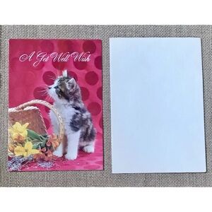 Vintage Kitten Chromes Greeting Card Innocent Kitty Overturned Basket Get Well